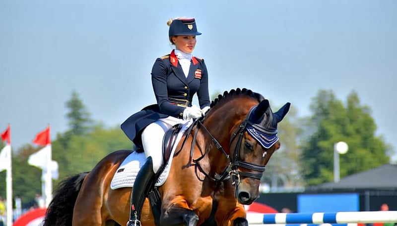 Equestrian vaulter performing a gymnastic routine on a horse Equestrian vaulter performing a gymnastic routine on a horse